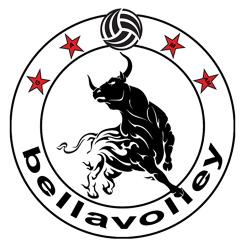Bellavolley Instagram community